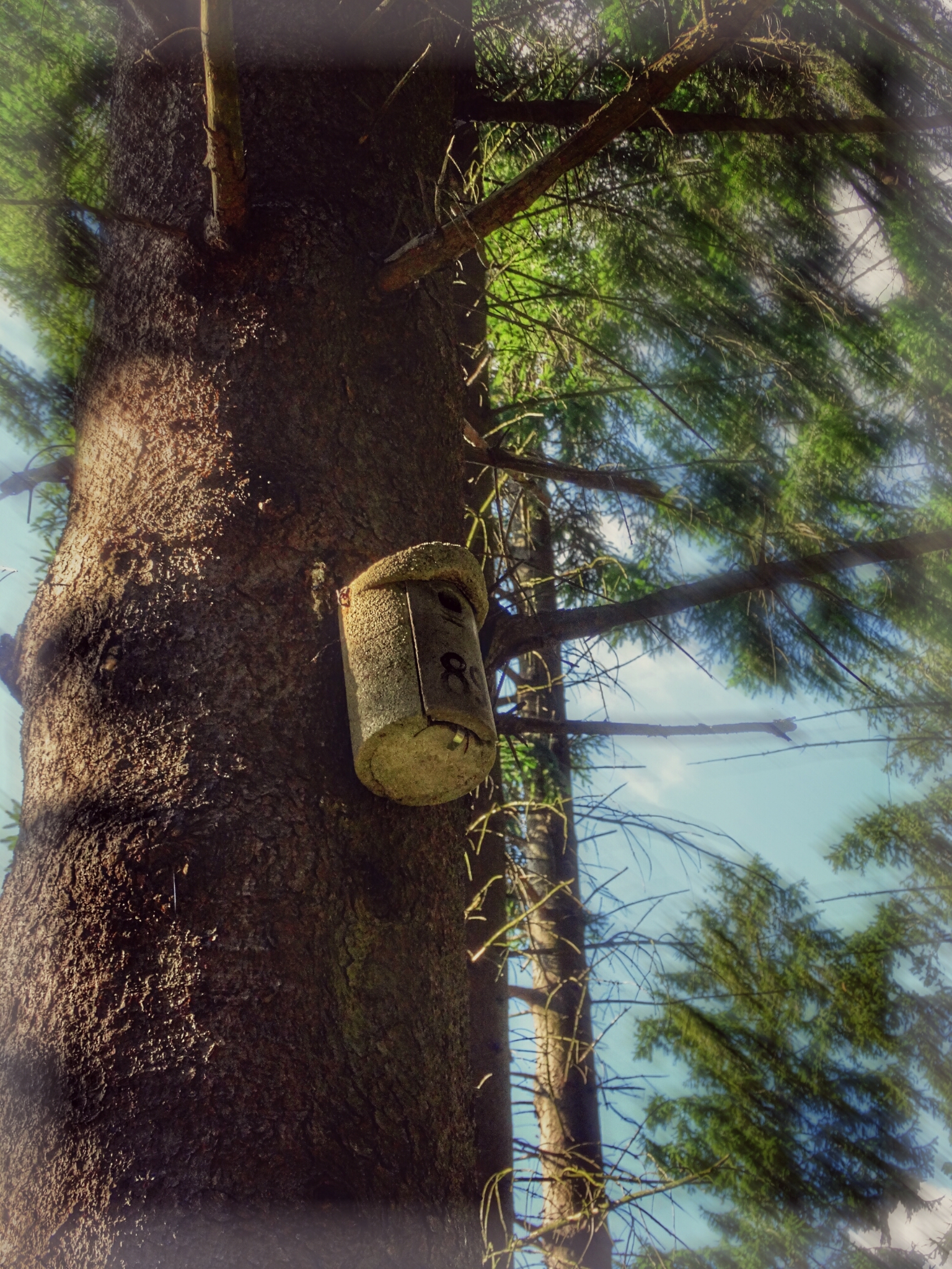 hashtags light painting nature autumn Good hdr ! Morning photography